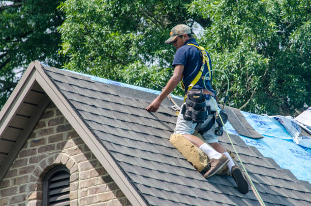 Quick and Trustworthy Emergency Roof Repair Services in Chapin, SC